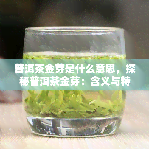 普洱茶金芽是什么意思，探秘普洱茶金芽：含义与特点解析