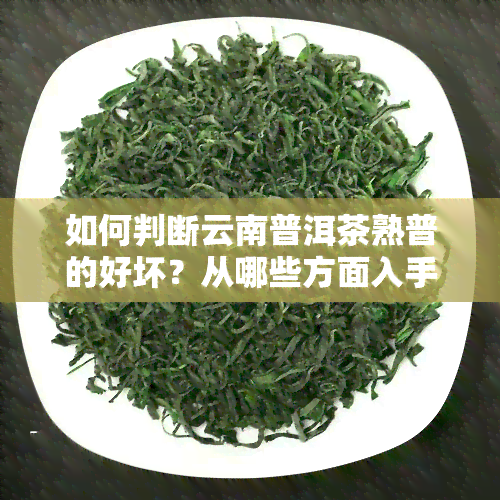 如何判断云南普洱茶熟普的好坏？从哪些方面入手？