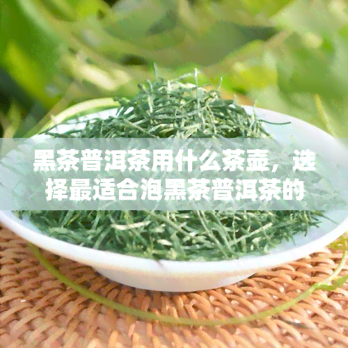 黑茶普洱茶用什么茶壶，选择最适合泡黑茶普洱茶的茶壶，你需要注意这些！