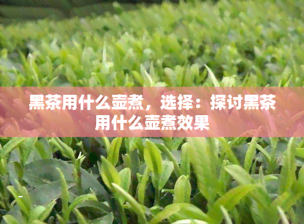 黑茶用什么壶煮，选择：探讨黑茶用什么壶煮效果