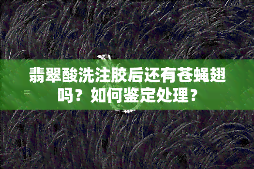 翡翠酸洗注胶后还有苍蝇翅吗？如何鉴定处理？