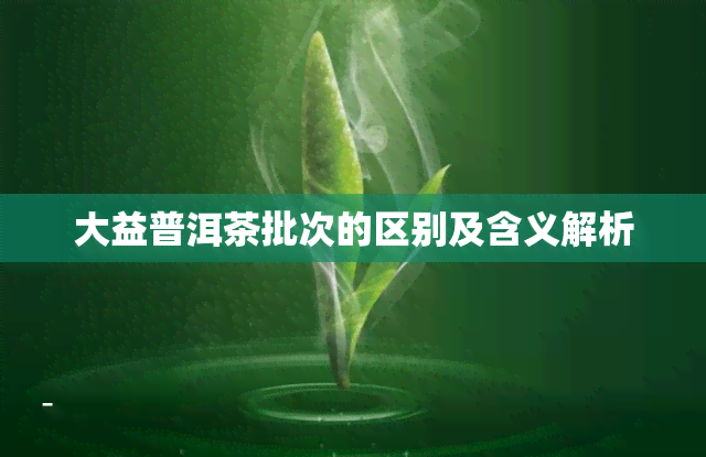 大益普洱茶批次的区别及含义解析