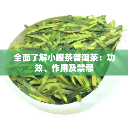 全面了解小罐茶普洱茶：功效、作用及禁忌