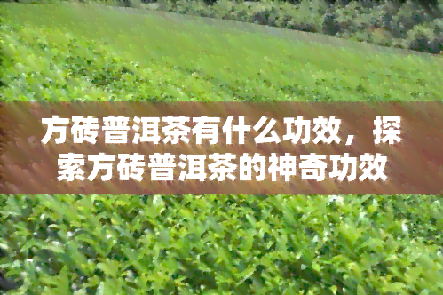 方砖普洱茶有什么功效，探索方砖普洱茶的神奇功效