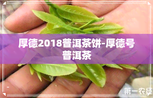 厚德2018普洱茶饼-厚德号普洱茶