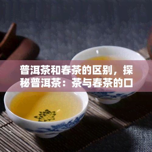 普洱茶和春茶的区别，探秘普洱茶：茶与春茶的口感差异及品质比较