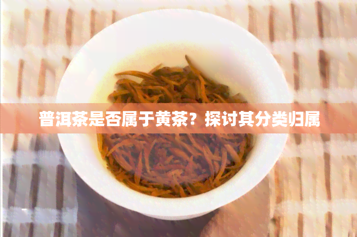 普洱茶是否属于黄茶？探讨其分类归属