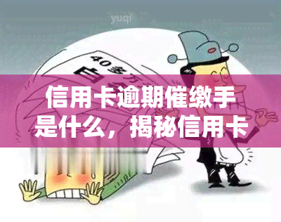 信用卡逾期催缴手是什么，揭秘信用卡逾期催缴手，避免陷入困境！