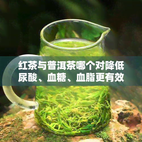 红茶与普洱茶哪个对降低尿酸、血糖、血脂更有效？