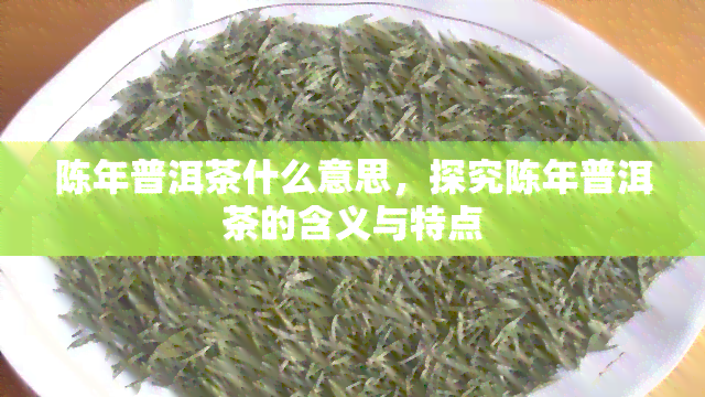 陈年普洱茶什么意思，探究陈年普洱茶的含义与特点