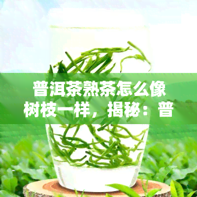 普洱茶熟茶怎么像树枝一样，揭秘：普洱茶熟茶为何形状类似树枝？