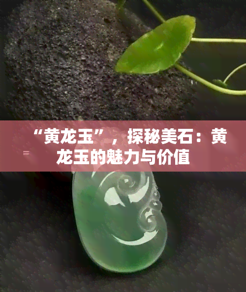 “黄龙玉”，探秘美石：黄龙玉的魅力与价值