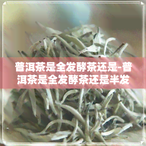 普洱茶是全发酵茶还是-普洱茶是全发酵茶还是半发酵茶