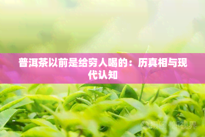 普洱茶以前是给穷人喝的：历真相与现代认知