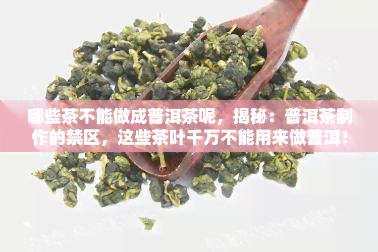 哪些茶不能做成普洱茶呢，揭秘：普洱茶制作的禁区，这些茶叶千万不能用来做普洱！