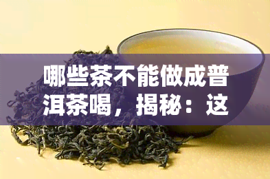 哪些茶不能做成普洱茶喝，揭秘：这些茶无法制成普洱茶，你喝对了吗？