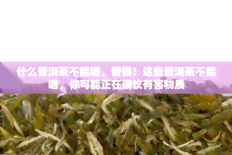 什么普洱茶不能喝，警惕！这些普洱茶不能喝，你可能正在误饮有害物质