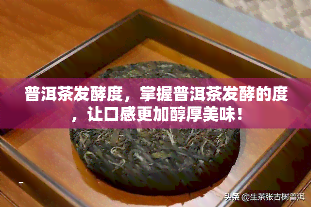 普洱茶发酵度，掌握普洱茶发酵的度，让口感更加醇厚美味！