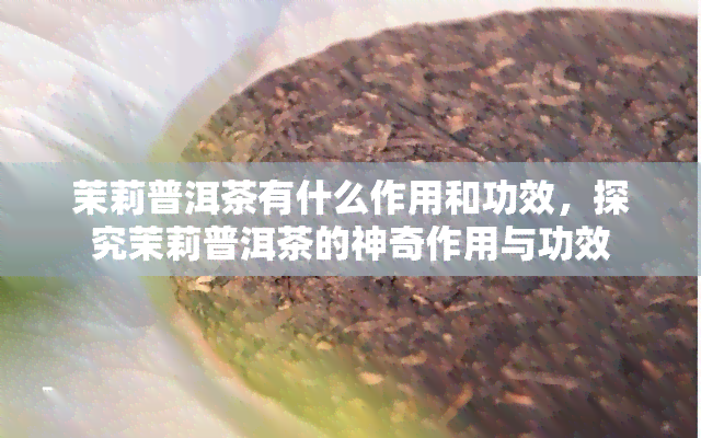 茉莉普洱茶有什么作用和功效，探究茉莉普洱茶的神奇作用与功效