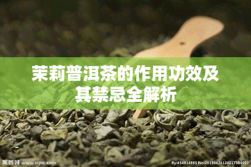 茉莉普洱茶的作用功效及其禁忌全解析