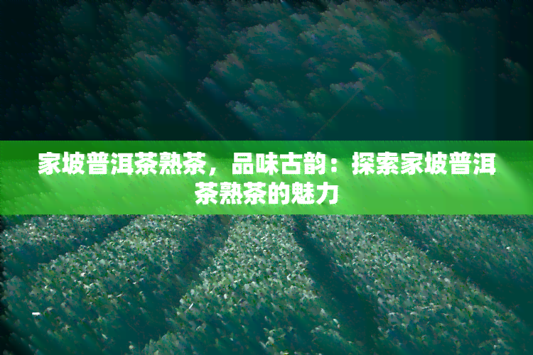 家坡普洱茶熟茶，品味古韵：探索家坡普洱茶熟茶的魅力