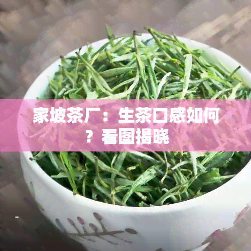 家坡茶厂：生茶口感如何？看图揭晓