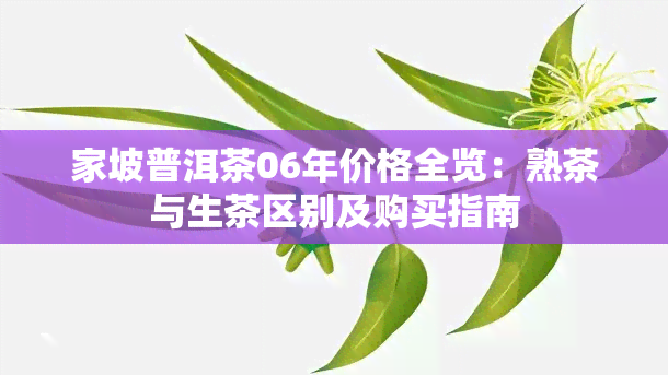 家坡普洱茶06年价格全览：熟茶与生茶区别及购买指南