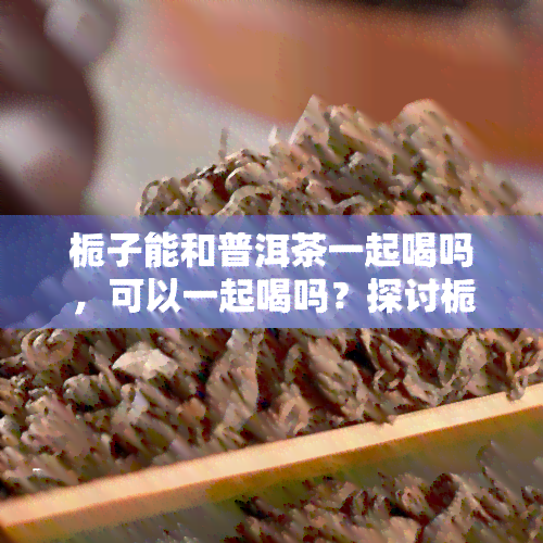 栀子能和普洱茶一起喝吗，可以一起喝吗？探讨栀子与普洱茶的搭配效果