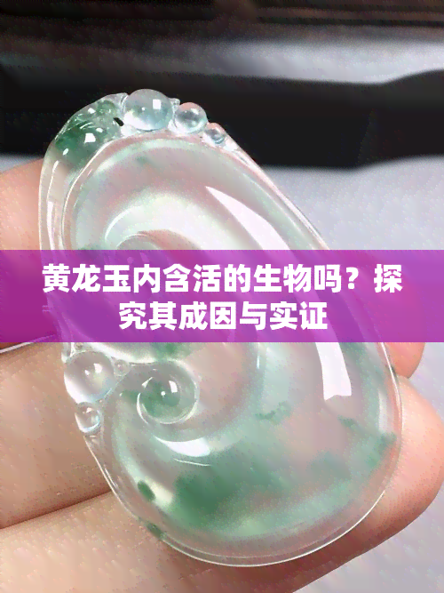 黄龙玉内含活的生物吗？探究其成因与实证