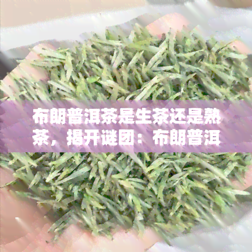 布朗普洱茶是生茶还是熟茶，揭开谜团：布朗普洱茶是生茶还是熟茶？