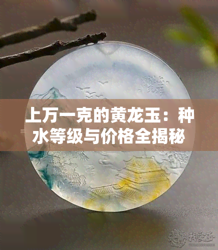 上万一克的黄龙玉：种水等级与价格全揭秘