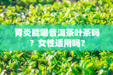 胃炎能喝普洱茶叶茶吗？女性适用吗？