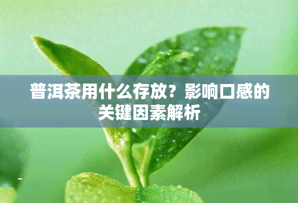 普洱茶用什么存放？影响口感的关键因素解析