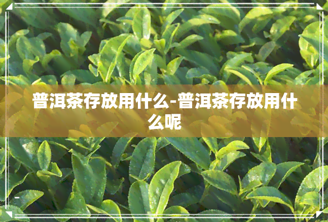 普洱茶存放用什么-普洱茶存放用什么呢