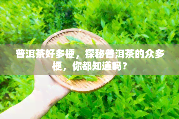 普洱茶好多梗，探秘普洱茶的众多梗，你都知道吗？