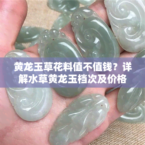 黄龙玉草花料值不值钱？详解水草黄龙玉档次及价格走势