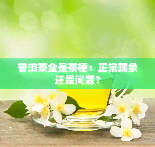 普洱茶全是茶梗：正常现象还是问题？