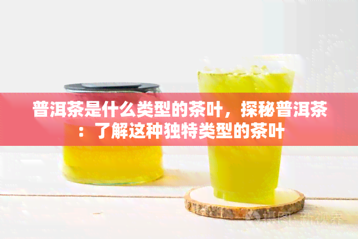 普洱茶是什么类型的茶叶，探秘普洱茶：了解这种独特类型的茶叶