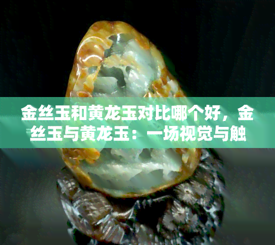 金丝玉和黄龙玉对比哪个好，金丝玉与黄龙玉：一场视觉与触觉的较量