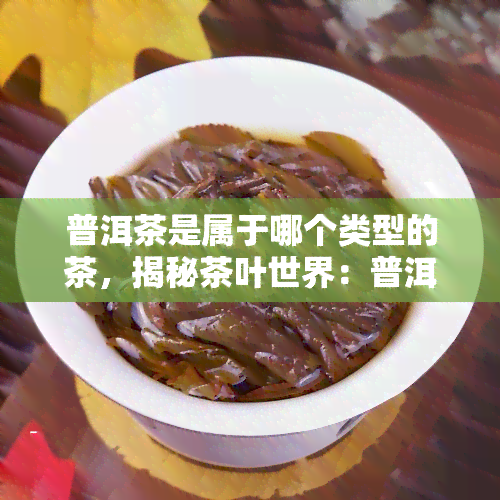 普洱茶是属于哪个类型的茶，揭秘茶叶世界：普洱茶属于哪种类型的茶？