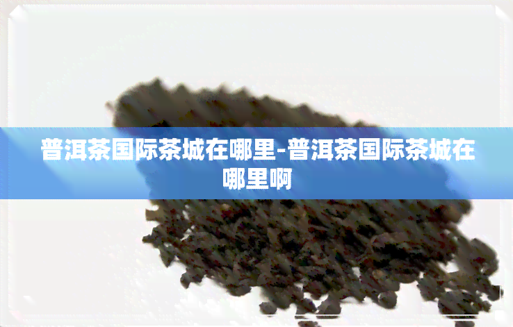 普洱茶国际茶城在哪里-普洱茶国际茶城在哪里啊