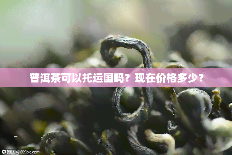 普洱茶可以托运国吗？现在价格多少？