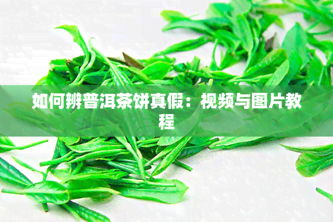 如何辨普洱茶饼真假：视频与图片教程