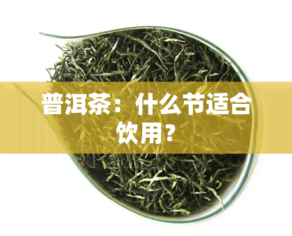 普洱茶：什么节适合饮用？