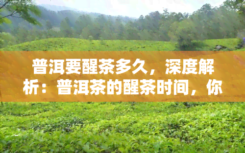 普洱要醒茶多久，深度解析：普洱茶的醒茶时间，你了解多少？