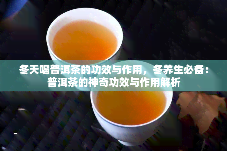 冬天喝普洱茶的功效与作用，冬养生必备：普洱茶的神奇功效与作用解析