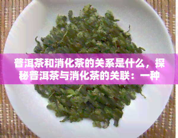 普洱茶和消化茶的关系是什么，探秘普洱茶与消化茶的关联：一种独特的保健饮品