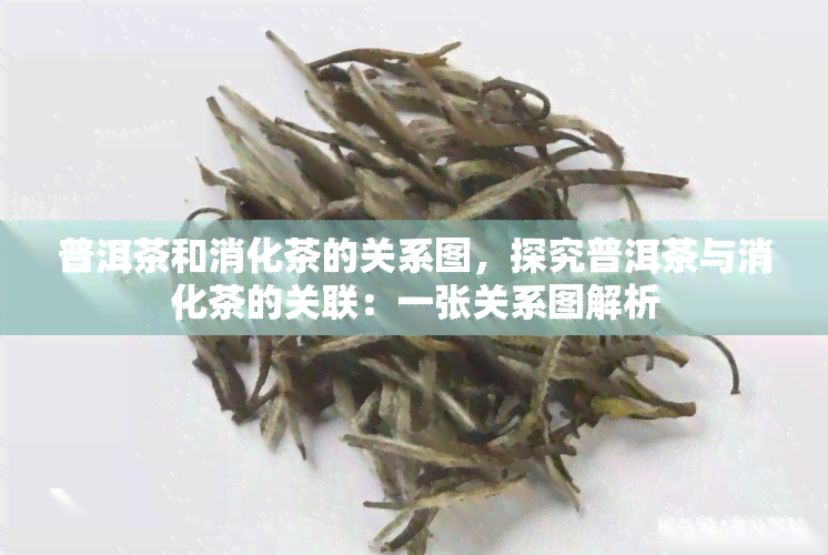 普洱茶和消化茶的关系图，探究普洱茶与消化茶的关联：一张关系图解析