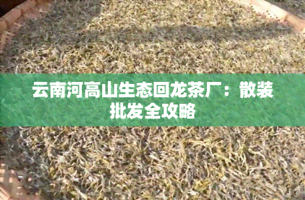 云南河高山生态回龙茶厂：散装批发全攻略