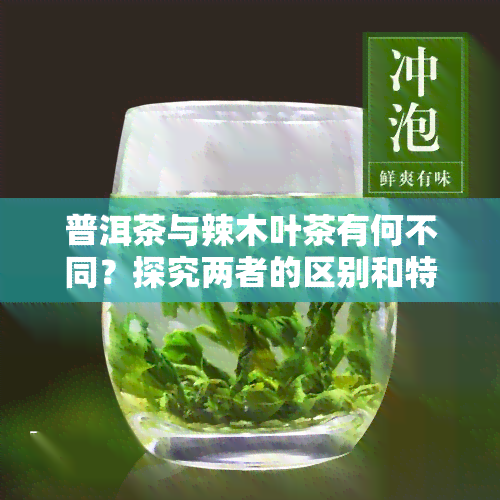 普洱茶与辣木叶茶有何不同？探究两者的区别和特点